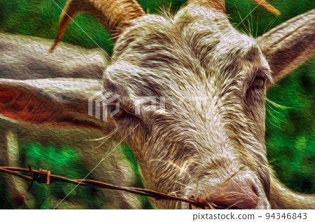 Close-up of goat next a fence in a farmhouse 94346843