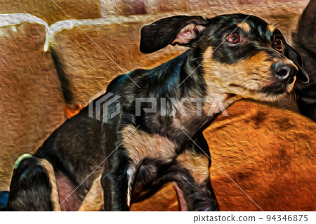Cute little mutt dog standing on couch 94346875