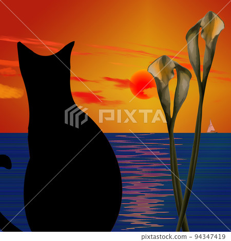 Black Cat Black Cat 94347419