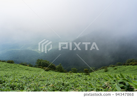 Kirifuri Kougen Kisugedaira Enchi View from the summit of Komaruyama Nikko City, Tochigi Prefecture Kirifuri Kougen Kisugedaira Enchi View from the summit of Komaruyama Nikko City, Tochigi Prefecture 94347868