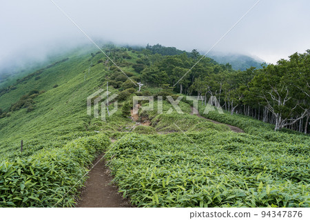 Kirifuri Kogen Kisugedaira Park Komaruyama Summit Nikko City, Tochigi Prefecture Kirifuri Kogen Kisugedaira Park Komaruyama Summit Nikko City, Tochigi Prefecture 94347876