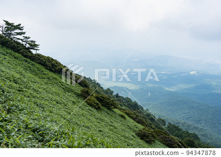 Kirifuri Kogen Kisuge-daira Garden Scenery Nikko City, Tochigi Prefecture Kirifuri Kogen Kisuge-daira Garden Scenery Nikko City, Tochigi Prefecture 94347878