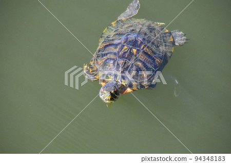 Yamadaike Park Yamadaike Park 94348183