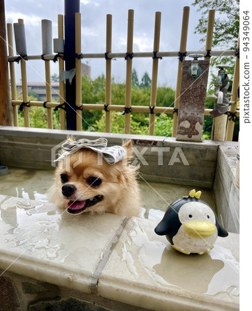 Let's go to the hot spring 94349064