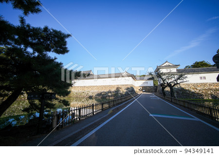 The streets of Hikone 94349141