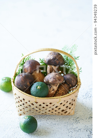 日本松茸蘑菇 94349239