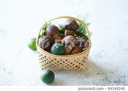 Japanese matsutake mushroom Japanese matsutake mushroom 94349240