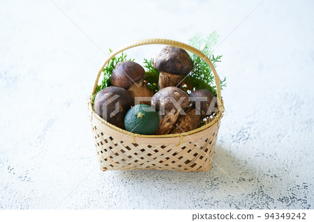 日本松茸蘑菇 94349242