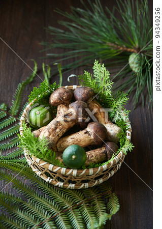 日本松茸蘑菇 94349256