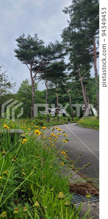 Pyeongchang Goheung Seongbukcheon Apgujeong Jayang Redevelopment Promotion Zone Interior Site Onam-ri River, 94349453