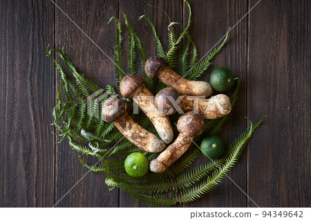 Japanese matsutake mushroom 94349642