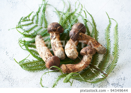 Japanese matsutake mushroom 94349644