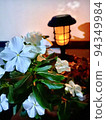 Flowers blooming at night 94349984