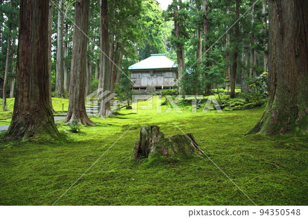 炎炎夏日，白山平泉寺長滿青苔 94350548