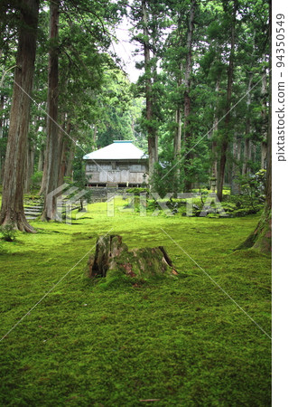 炎炎夏日，白山平泉寺長滿青苔 94350549