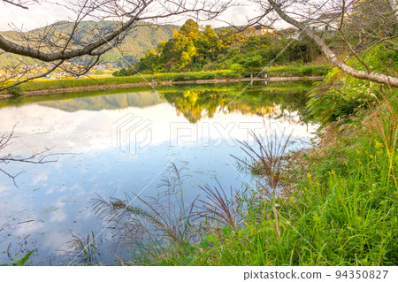 Reservoir pond in front of Hachiman Shrine Kita-Torii (Shinmyoji, Kamigori-cho, Ako-gun, Hyogo) 94350827