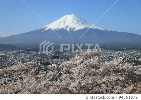 Mt.Fuji, the tallest mountain in Japan, and cherry blossoms 94351679