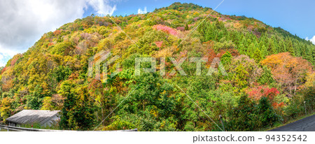 Fukuchi Valley dyed in autumn leaves (Fukuchi, Ichinomiya-cho, Shiso City, Hyogo Prefecture) Fukuchi Valley dyed in autumn leaves (Fukuchi, Ichinomiya-cho, Shiso City, Hyogo Prefecture) 94352542