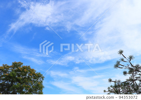 Blue sky, white clouds, trees 94353072
