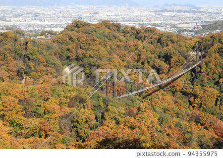星田圓地(大阪府) 星田圓地(大阪府) 94355975