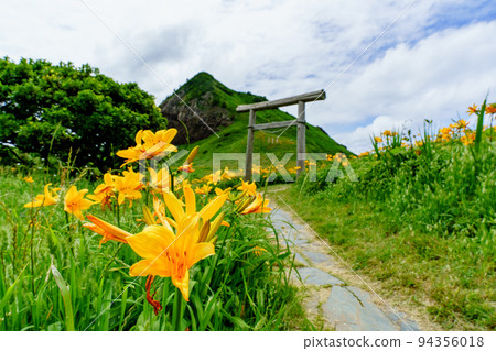佐渡小野的飛島黃花菜(初夏新潟孤島觀光) 佐渡小野的飛島黃花菜(初夏新潟孤島觀光) 94356018