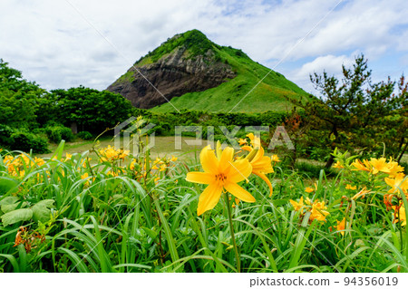 佐渡小野的飛島黃花菜(初夏新潟孤島觀光) 佐渡小野的飛島黃花菜(初夏新潟孤島觀光) 94356019