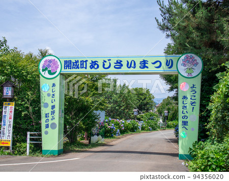 開花在農村風景Kaiseicho的繡球花 開花在農村風景Kaiseicho的繡球花 94356020