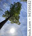 Heaven And Earth 94356682
