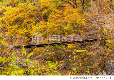 日本第一華麗峽谷、山梨甲府秋景、紅葉昇仙峽、有明橋 94356721