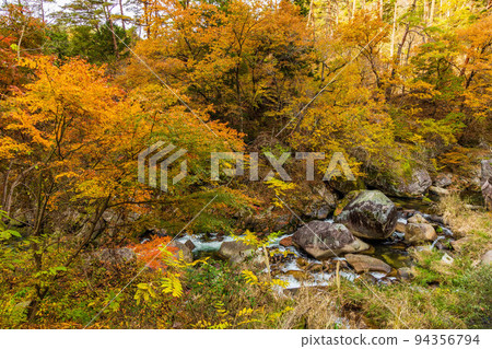 Japan's most beautiful valley Yamanashi Kofu's autumn scenery Shosenkyo Gorge with colored leaves Japan's most beautiful valley Yamanashi Kofu's autumn scenery Shosenkyo Gorge with colored leaves 94356794