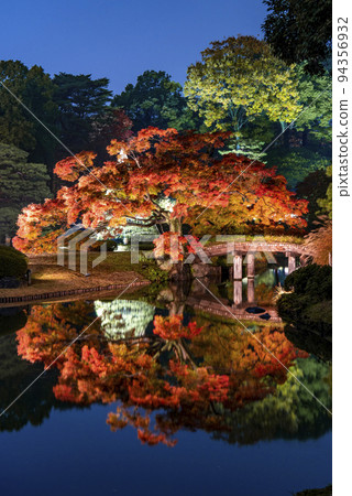 Rokugien秋葉和大名花園的點亮 Rokugien秋葉和大名花園的點亮 94356932