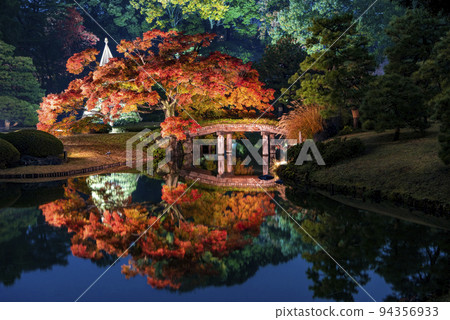 Light-up of Rokugien autumn leaves and Daimyo garden 94356933