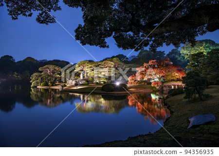 Light-up of Rokugien autumn leaves and Daimyo garden Light-up of Rokugien autumn leaves and Daimyo garden 94356935