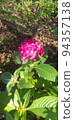 燦爛的花朵 94357138