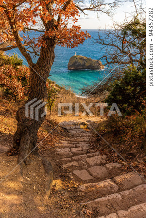 Autumn oak tree and old stone staircase on the trail leading from St. George Monastery to Jasper Beach, Cape Fiolent, Crimea Russia approximately 800 steps The concept of healthy and active travel Autumn oak tree and old stone staircase on the trail leading from St. George Monastery to Jasper Beach, Cape Fiolent, Crimea Russia approximately 800 steps The concept of healthy and active travel 94357282