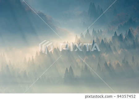 背景素材:初升的太陽照進云海森林的風景 背景素材:初升的太陽照進云海森林的風景 94357452