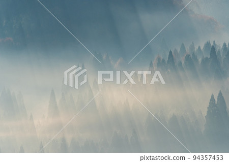 背景素材:初升的太陽照進云海森林的風景 背景素材:初升的太陽照進云海森林的風景 94357453