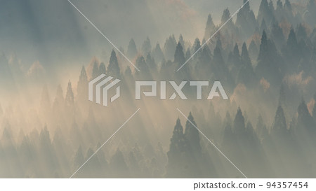 Background material: Scenery of the rising sun shining into the sea of clouds forest 94357454