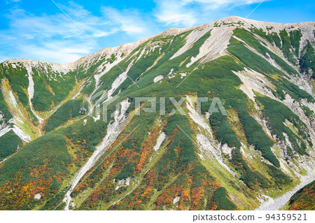 Autumn leaves of Tateyama 94359521