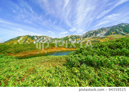 Tateyama mountain leaves 94359525