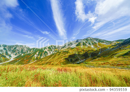 Tateyama mountain leaves 94359559