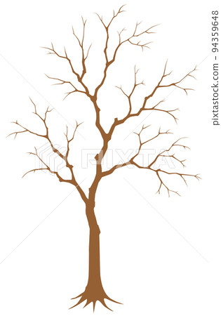 Dead tree white background Dead tree white background 94359648