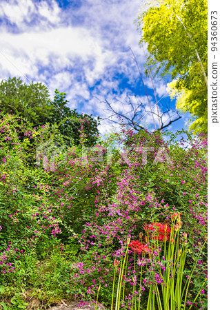 興莊山瑞玄寺 - 萩寺 94360673