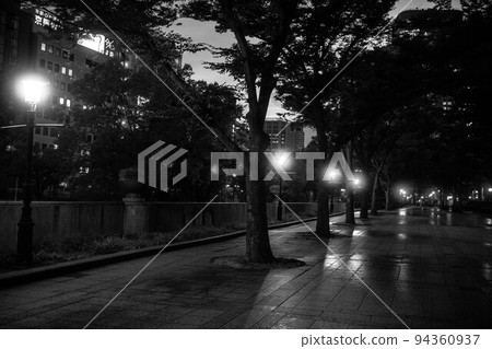 雨後大阪市政廳前道路上的行道樹和路燈 雨後大阪市政廳前道路上的行道樹和路燈 94360937