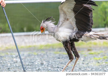 secretary show 94361077