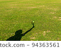 Shadow hitting a tennis ball on the lawn 94363561