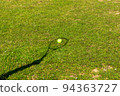 Tennis ball and racket shadow on grass 94363727