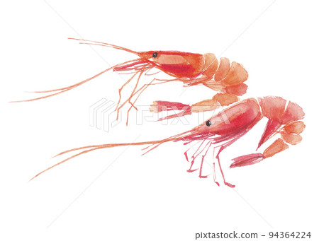 Sweet shrimp 2 94364224