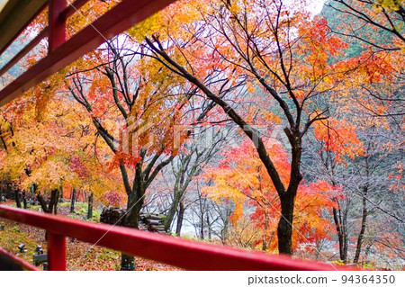 Autumn leaves from the window of the Sagano Scenic Railway Torokko Train Autumn leaves from the window of the Sagano Scenic Railway Torokko Train 94364350