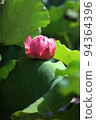 Lotus 94364396